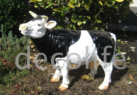  koe polyester 