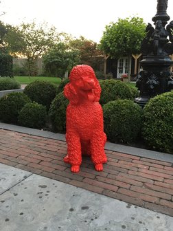 poedel polyester-beeld-rood