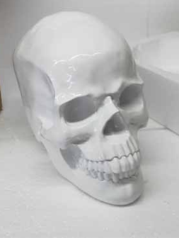 skulldecoratie beeld 