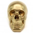 skull goud decoratie beeld 