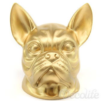 franse bulldog kop
