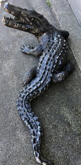 krokodil polyester beeld 180304-zw