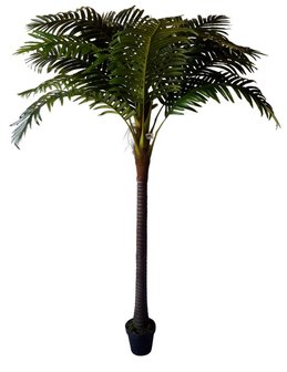 palm boom Barbados kunst palm