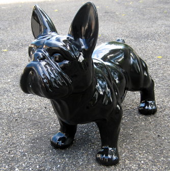 franse bulldog  hoogglans 34cm  zwart