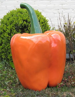 Paprika oranjebeeld xl