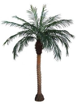 kunst palm boom decolife 