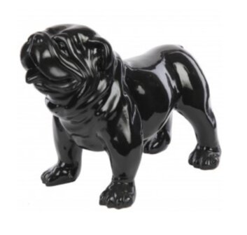 Engels Bulldog 58 cm zwart 