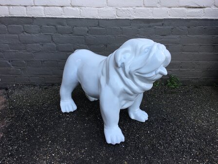 Engels Bulldog 54 cm 