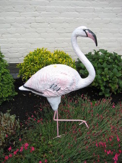 flamingo polyester 