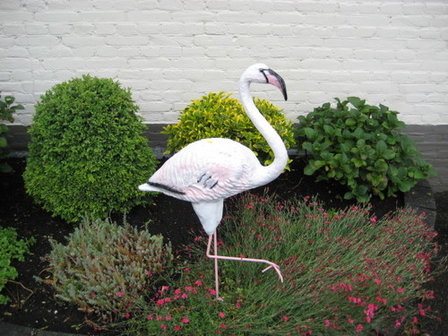 flamingo beeld 