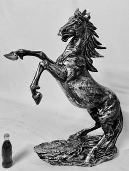 paard steigerend zilver