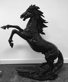 paard steigerend zwart