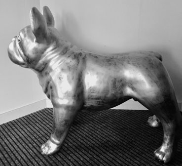 verslag doen van Manoeuvreren Promotie franse bulldog - gepolijst-glossy-polyester-beeld-hond-zilver - Decolife -  Dé polyesterbeelden en decoratie webshop