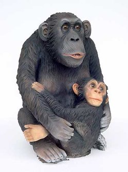 chimpansee-polyester