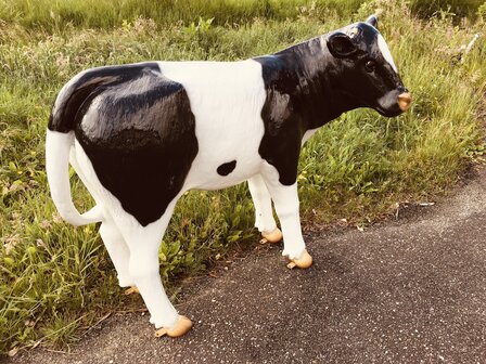 Koe Kalf Beeld 90cm Geertje verstevigd met fiberglas