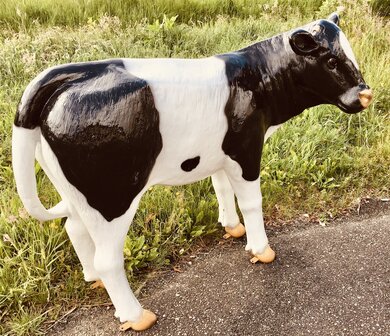 Koe Kalf Beeld 90cm Geertje verstevigd met fiberglas