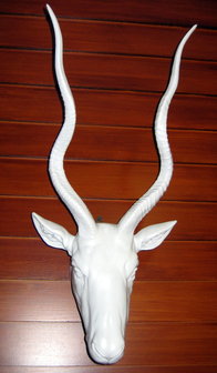 Gazelle kop wit polystone 55cm 
