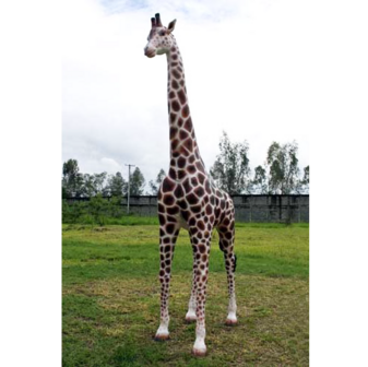 Giraffe kunstbeeld levensgroot decolife