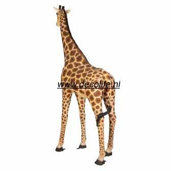 Giraffe kunstbeeld 270x70x330cm ( l x br x h ) polyester levensecht