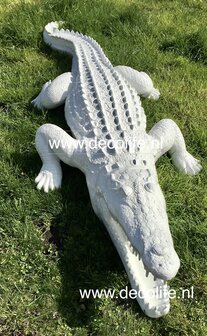 krokodil XXL  polyester beeld 