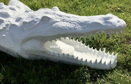krokodil XXL  polyester beeld 