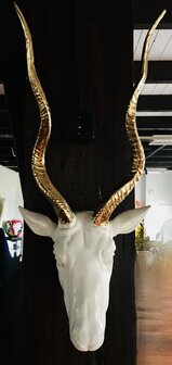 antilope kop 58 cm wit met gouden gewei 