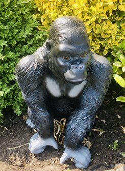 aap-gorilla -beeld- jungle -book