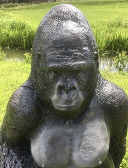 Aap Gorilla polyester beeld life size silverback