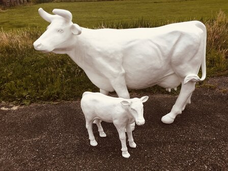 koe met kalf wit 