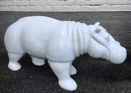 Nijlpaard hippo