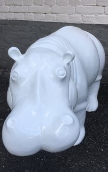 Nijlpaard hippo