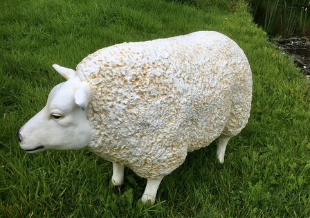 texelaar texels schaap polyester 