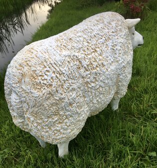 texelaar texels schaap polyester 