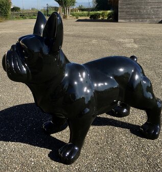 Franse bulldog 90cm polyester beeld -hond