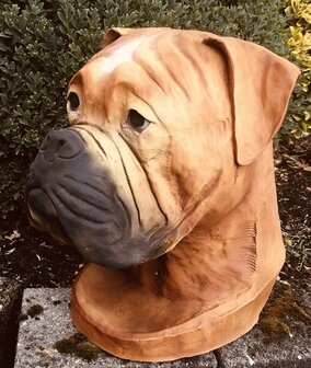 Boxer decoratie beeld  40cm 