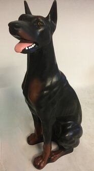 dobermann hond beeld zittend 