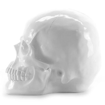 skull-schedel-wit 