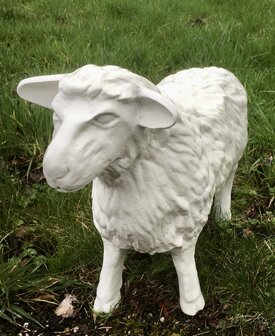 schaap beeld 55cm polyester kunstbeeld