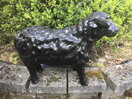 schaap 50cm polyester kunstbeeld 