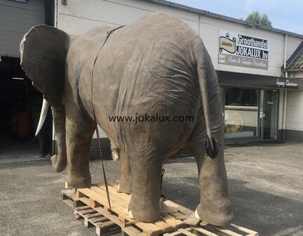 olifant life size 375x245 cm 