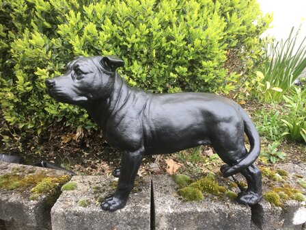 stafford dog polyester beeld  zwart