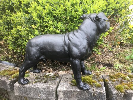 stafford dog polyester beeld  zwart