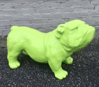 engelse bulldog polyester beeld ceasar 