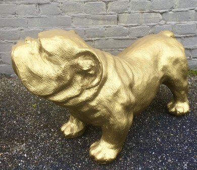 engelse bulldog polyester beeld ceasar 