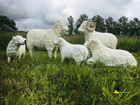 schaap kudde set van 5 polystone tuinbeelden  