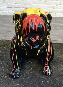 engels bulldog zwart dripping 