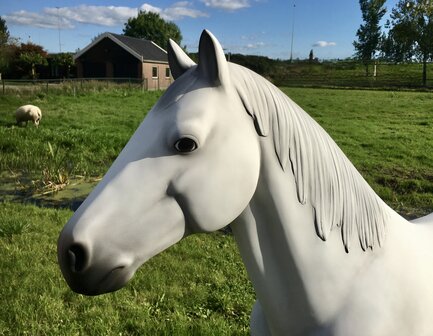 paard beeld polyester  schimmel levensgroot decolife