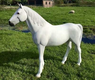 paard beeld polyester  schimmel levensgroot decolife