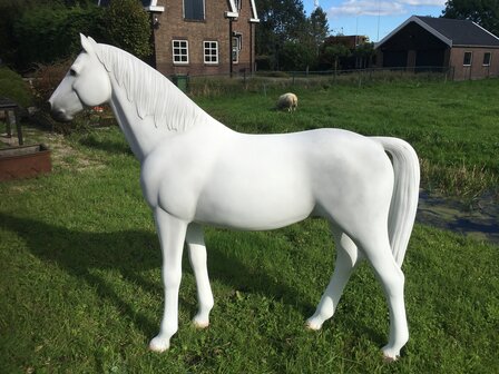 paard beeld polyester  schimmel levensgroot decolife