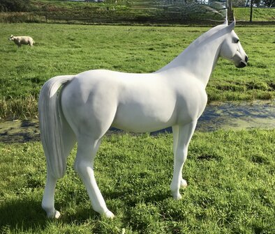 paard beeld polyester  schimmel levensgroot decolife